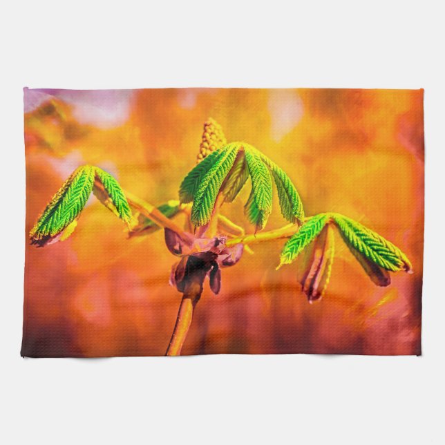 Brand Kökshandduk (Horisontell)