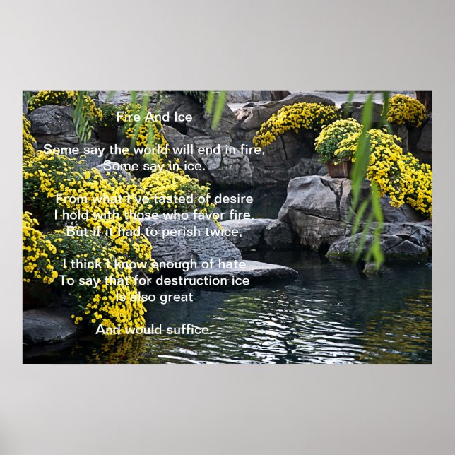 Brand- och isblommor Poster (Framsidan)