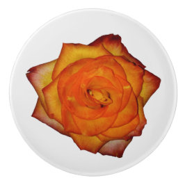 Bränd Orange Ro Knopp