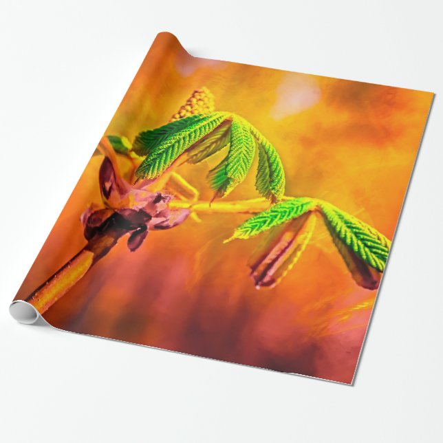 Brand Presentpapper (Utrullad)