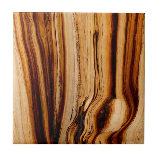 Bränd Träd Trunk Struktur Kakelplatta (Framsidan)