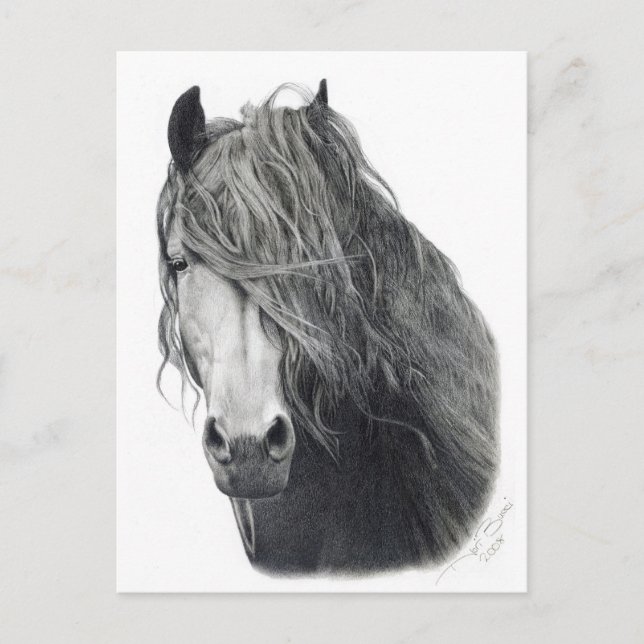 Brand Vykort (Framsida)