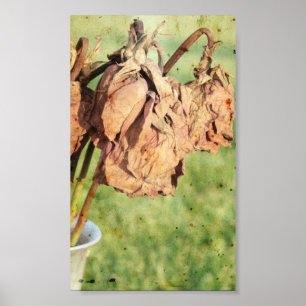 Brända minnen poster