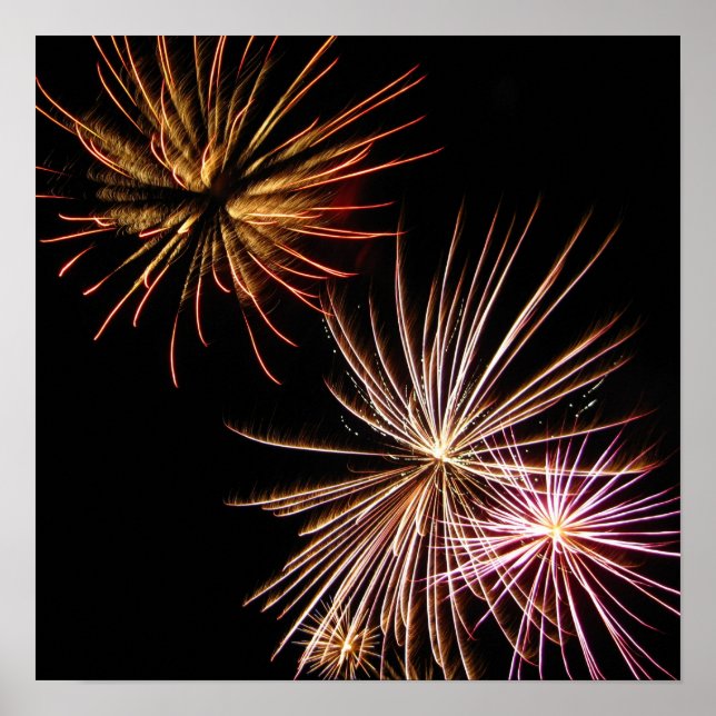 Brandblomma Poster (Framsidan)