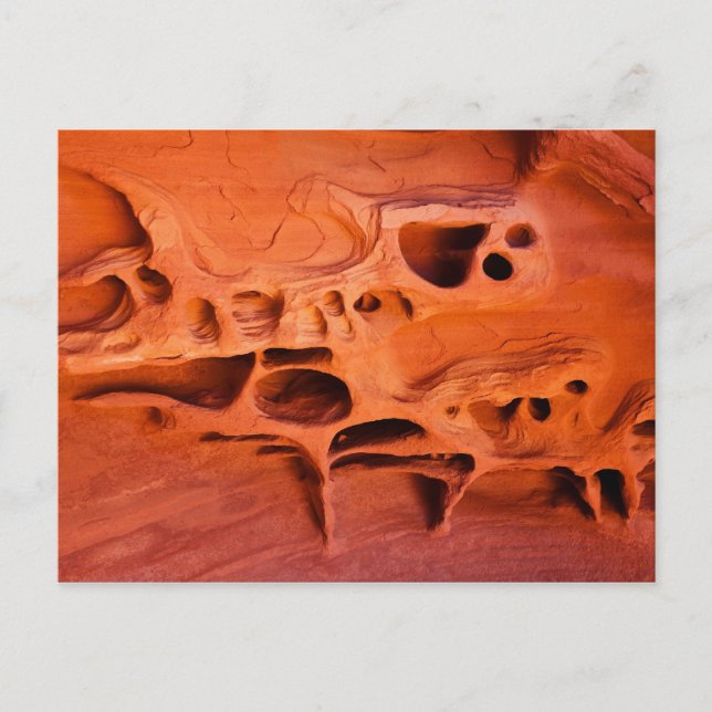 Brandcellstumpar Vykort (Framsida)