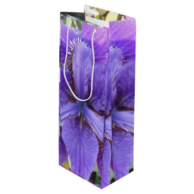 Brandeis (Framsidan Vinklad)