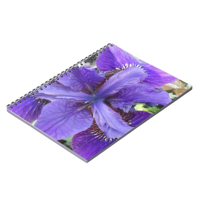 Brandeis Anteckningsbok (Vänstra Sidan)