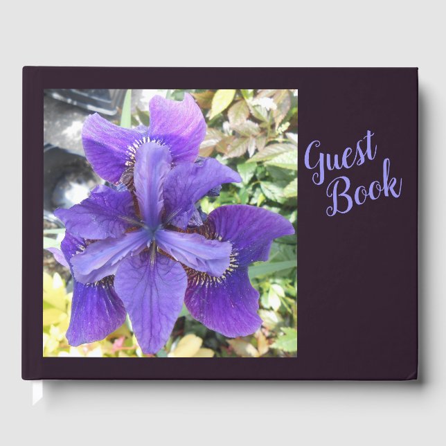 Brandeis Gästböcker (Framsida)