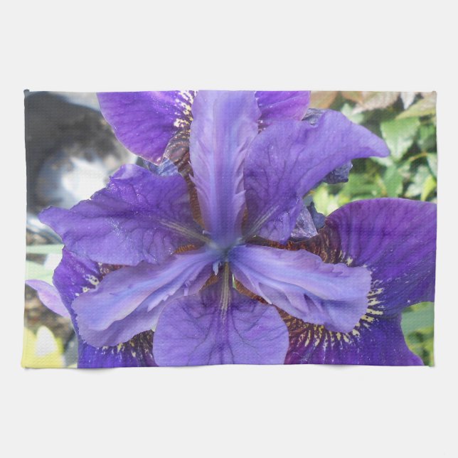 Brandeis Kökshandduk (Horisontell)