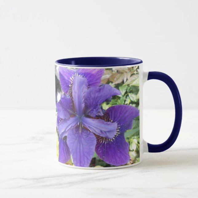 Brandeis Mugg (Höger)