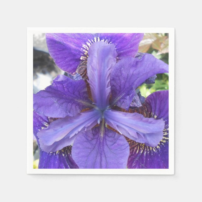 Brandeis Pappersservett (Framsidan)