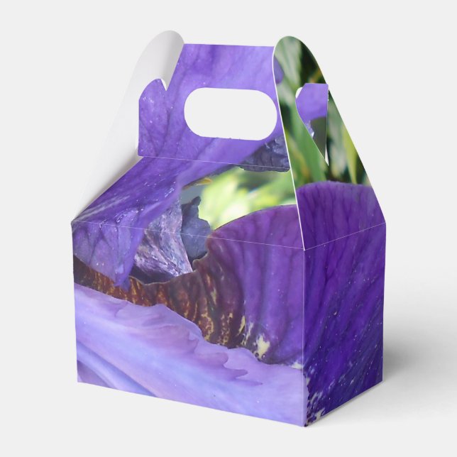 Brandeis Presentaskar (Framsidan Sidan)