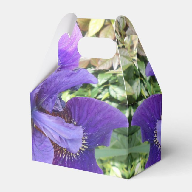 Brandels Presentaskar (Framsidan Sidan)