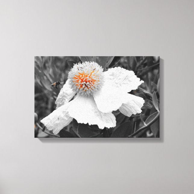 Branden inom canvastryck (Framsida)