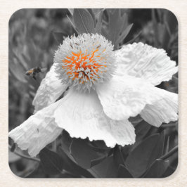 Branden inom underlägg papper kvadrat