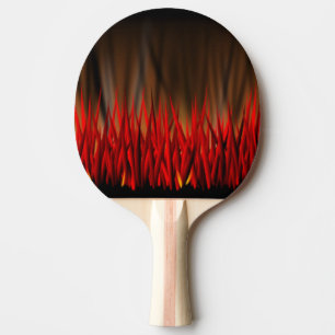 BRANDFLAMMAR PINGISRACKET