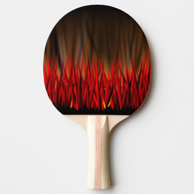 BRANDFLAMMAR PINGISRACKET (Framsidan)