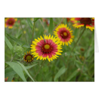 Brandhjul Hälsningskort