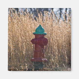 Brandhydrant Magnet