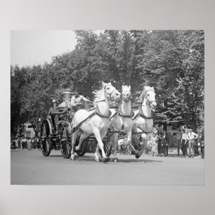 Brandkårs hästar, 1925. Vintage foto Poster