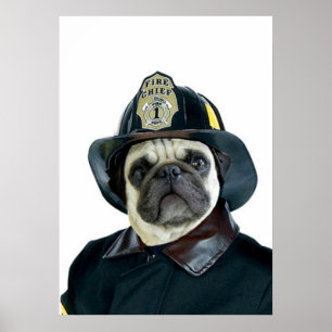 Brandmanmopsaffisch Poster
