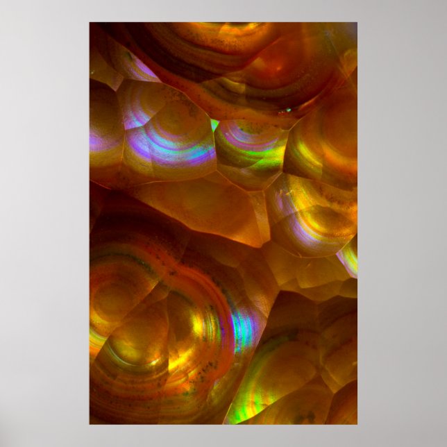 Brandopal för orange av bevattning poster (Framsidan)