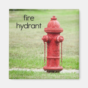 Brandpostkylskåpmagnet Magnet