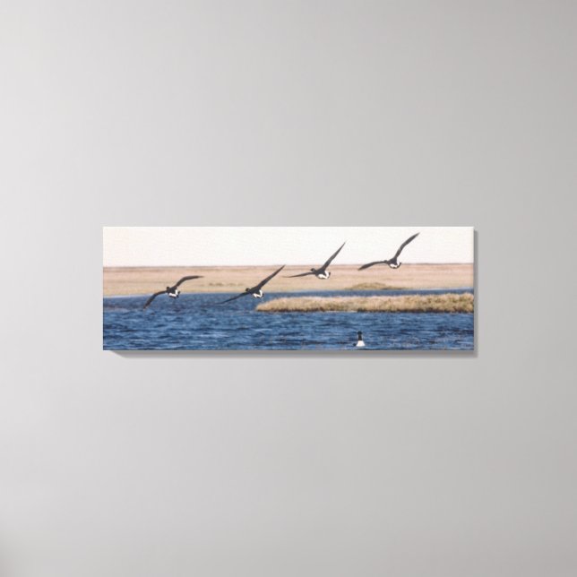 Brandt Geese Flies and Artic Loon Photo Designad Canvastryck (Framsida)