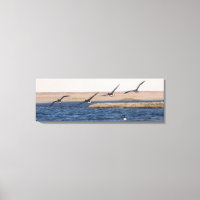 Brandt Geese Flies and Artic Loon Photo Designad