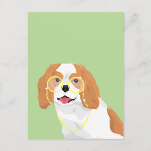 Brandy The Blenheim Cavalier Kung Charles Spain Vykort