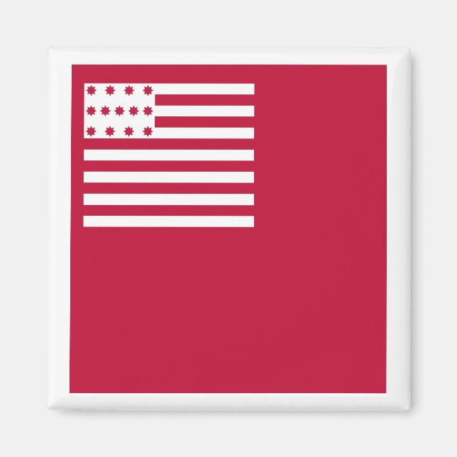 Brandywine flagga magnet (Framsidan)