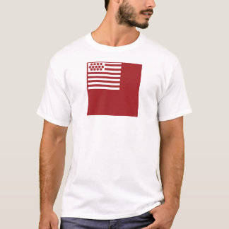 Brandywine flagga t-shirt