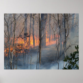 Bränna rök poster