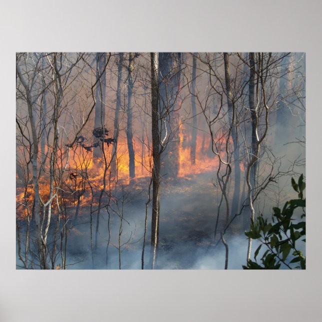 Bränna rök poster (Framsidan)