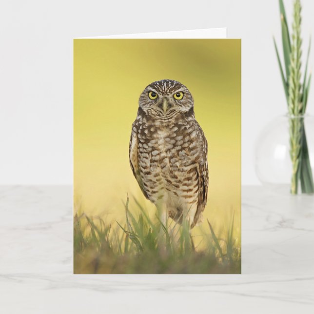 Brännande Uggla vid Sunset Greeting Card Kort (Framsida)