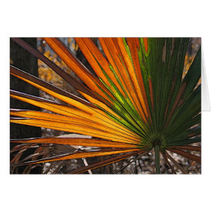 Brännd Palmetto OBS Kort