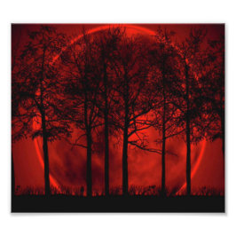 Bränner rött.. fototryck