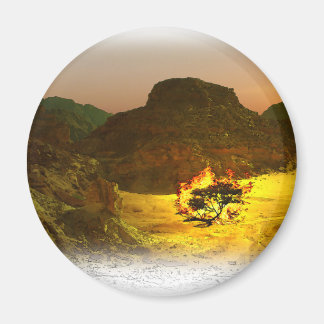 Bränning av Bush 1 Magnet