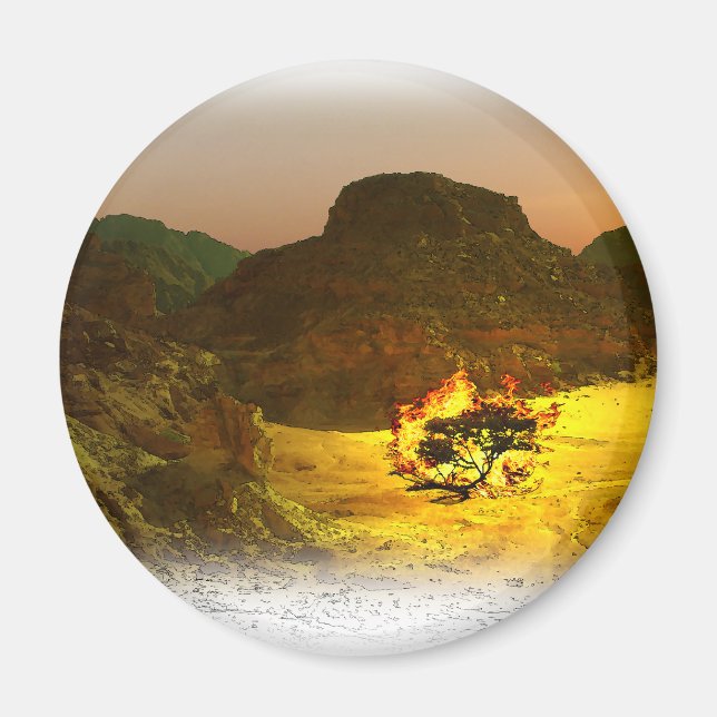 Bränning av Bush 1 Magnet (Framsidan)