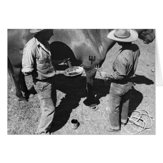 Brännmärka hästar med högaffeln brännmärka hälsningskort (Framsidan Horizontal)