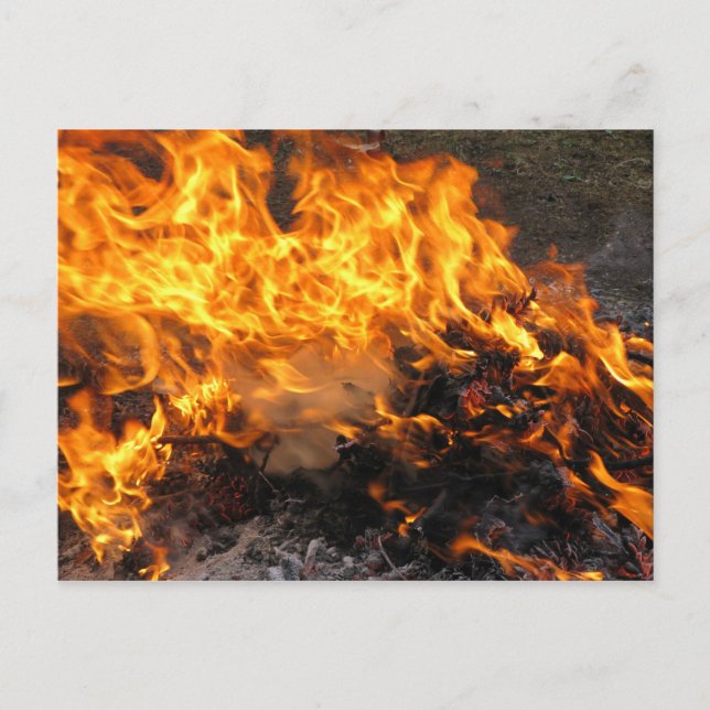 Brännpensel Vykort (Framsida)