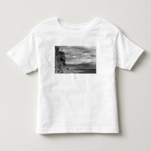 Brännskador Oregon beskådar av klippor T-shirt