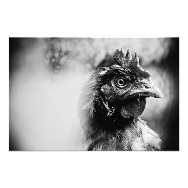 brännvin och kyckling 2 fototryck (Framsidan)