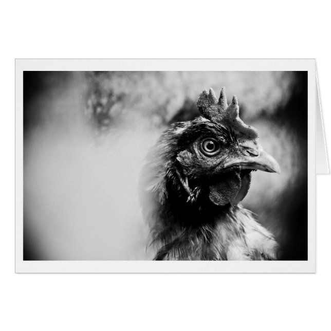 brännvin och kyckling 2 hälsningskort (Framsidan Horizontal)