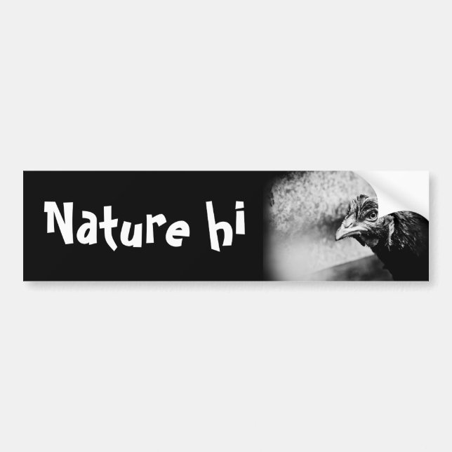 brännvin och kycklingar bildekal (Framsidan)