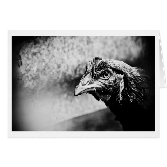 brännvin och kycklingar hälsningskort (Framsidan Horizontal)