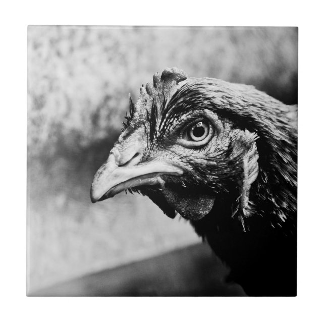 brännvin och kycklingar kakelplatta (Framsidan)