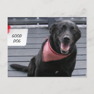 BRANS HUND VYKORT