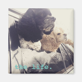 brans livstidsenhet magnet