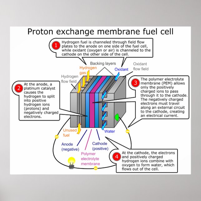 Bränslecelldiagram för protonExchange-membran Poster (Framsidan)